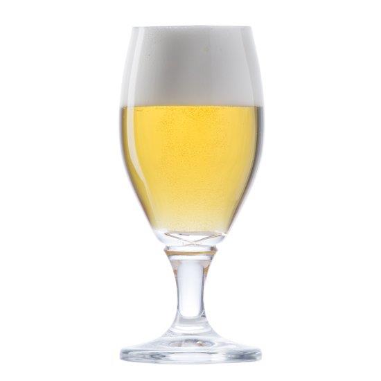 Deister Bierglas 25 cl.